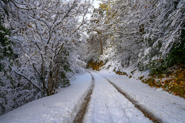 Winder is coming in the natural park of Ordesa ( Huesca, Spain)