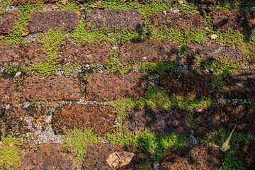 Old brick