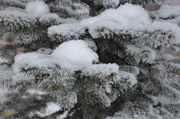 Closeup of Christmas tree , snow flake. Christmas and New Year holiday background. 