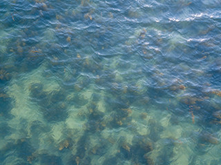 Fototapeta na wymiar Stony bottom under greenish transparent water. Thailand 