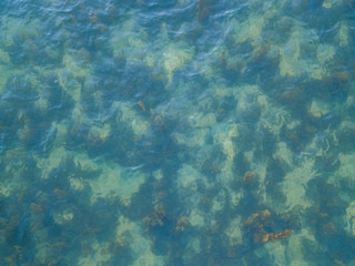 Stony bottom under greenish transparent water. Thailand	