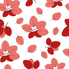 Vector seamless pattern. Modern stylish texture.Template for design.