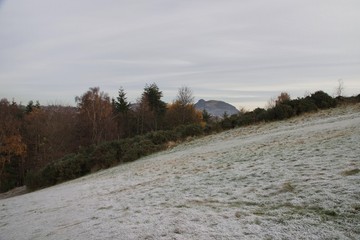 Frozen hillside in winter with frost on ground