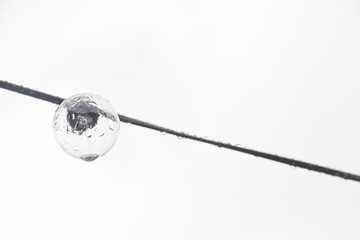 A wet bulb in detail in front of white fog. In the background a foggy landscape. Black and White.