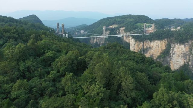 Flying over green forest trees towards glass bridge spanning across stunning mountain valley in Zhangjiajie, China