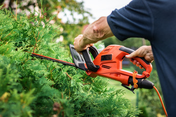 Trimming overgrown green bush by electric hedge clippers