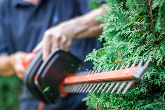 Gardener trimming overgrown green bush by electric hedge clippers. Selective focus, motion blur