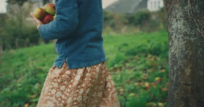 Young woman collecting fallen apples in orchard