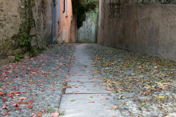 Perspective of an abandoned alleyway in a small village in Italy. Leaves on the ground. Straight sidewalk line in the middle, foreground in focus, the rest is blurred