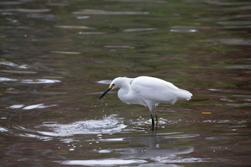 Breakfast on the river