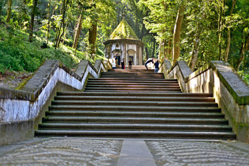 Fototapety na wymiar - Fototapeta24.pl