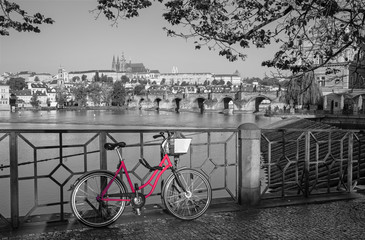 Panele Szklane  Praga - wypożyczalnia rowerów na nabrzeżu, w tle Most Karola, zamek i katedra.