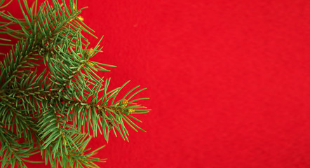 Christmas composition, flat lay. Red background, spruce branch, copy space for text. Christmas, winter, new year, postcard or greetings. Top view.