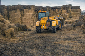 farming in Ukraine, harvesting, storage of silage, fodder for livestock