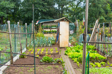 Overgrown garden to the abandoned house. People use bulky waste to separate the garden compartments.