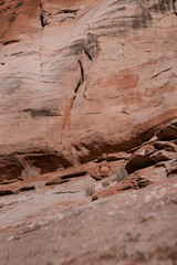 Desert Meditation