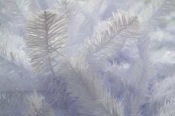 Close-up of artificial white Christmas tree, branches look like  covered with snow frost. Tender Christmas holiday background