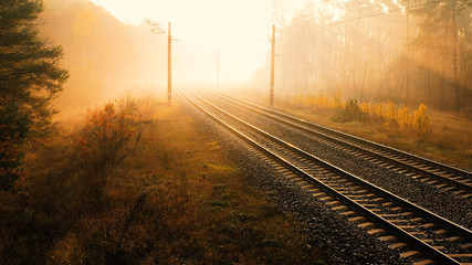 Fototapeta na wymiar Railway in autumn blurred forest at dawn