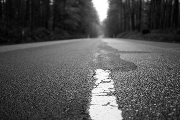 an empty road in autumn leads through a forest with colourful leaves to the horizon