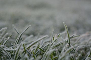 First signs of winter