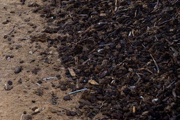 peat fraction, at the processing plant