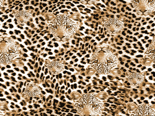 leopard head seamless pattern illustration texture design 