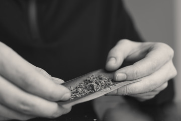 Rolling a marijuana weed joint . Close up weed joint with lighter. Smoke pot person. Man rolling cannabis blunt.