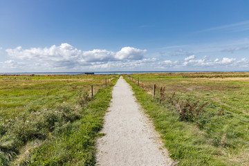 Open field in Oresund, Sweden, with the path leading towards sea.