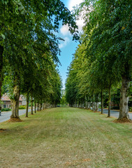 Allee