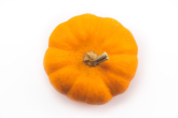 Pumpkins on old rusrik wooden. Thanksgiving day