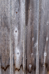 Weathered old fence for background.