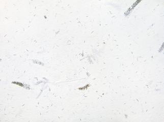 handmade paper with dried pieces of plants background texture