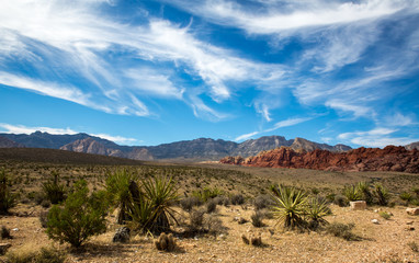 desert landscape of redrock canyon