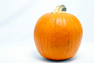 Pumpkin on white