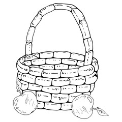 Vector of a basket with apples. Hand drawn beautiful wicker basket with apples.