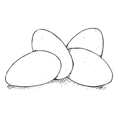 Egg icon. Vector of an egg. Hand drawn sketch eggs.