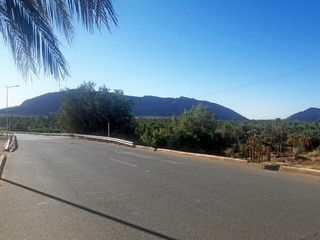 A view from above of the palm trees and the mountains in the oasis of Figuig in Morocco 
