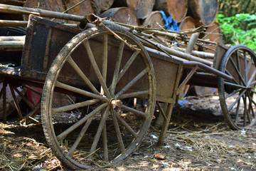 Fototapeta na wymiar A rustic vintage French farmers cart for transportation of farm produce. Two rusty wheels with a background of grass and hedges. The cart is weathered and aged.
