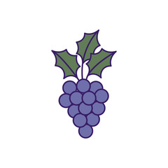Isolated grapes fruit fill vector design