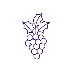 Isolated grapes fruit line vector design