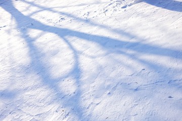 Fototapeta na wymiar White snow on the ground