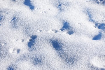 White snow on the ground