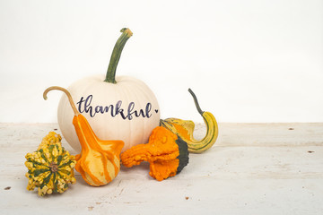 Autumn fall gourds on a wooden plank table with hand lettered thankful on a pumpkin isolated on white with copy space