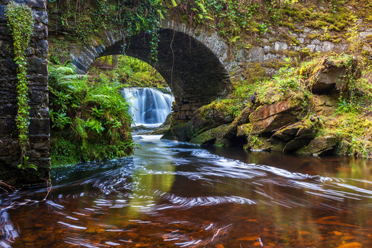 Lush River under the bridge at Torc Waterfall in Killarney National Park, County Kerry, Ireland