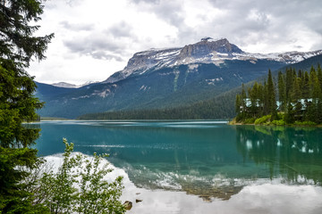 Pine trees in the foreground, the pristine clear water of Emerald Lake brings a perfect reflection of the surrounding rocky mountains and pine trees to the surface on a calm, yet cloudy day.