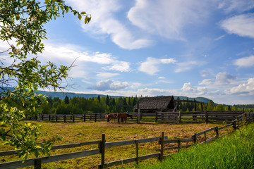 Lush green grass surrounds the paddock where two horses stand eating hay along a crooked wood fence with a hut and pine forest covered hills in the background on a partially cloudy day.