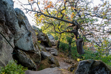 Teufelsmauer Blankenburg - Harz, Sachsen-Anhalt