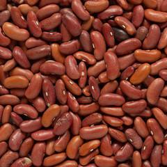 Macro red kidney beans background