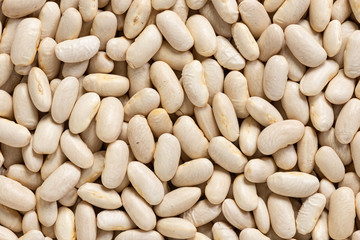 White kidney beans cannellini macro background