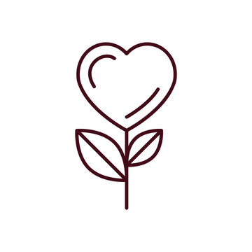 Isolated heart flower icon line vector design